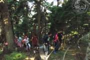 agiatradites_summer2019_a16